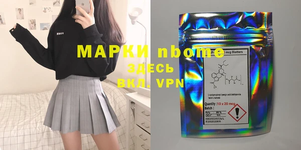 стаф Алзамай