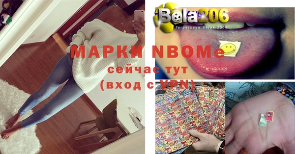стаф Алзамай