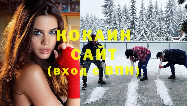 стаф Алзамай
