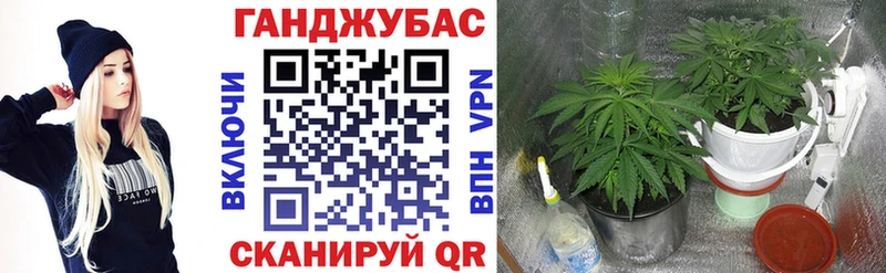 магазин продажи наркотиков  Карачев  Марихуана индика 